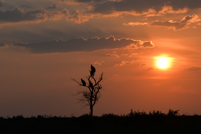 Drive to Pandamatenga